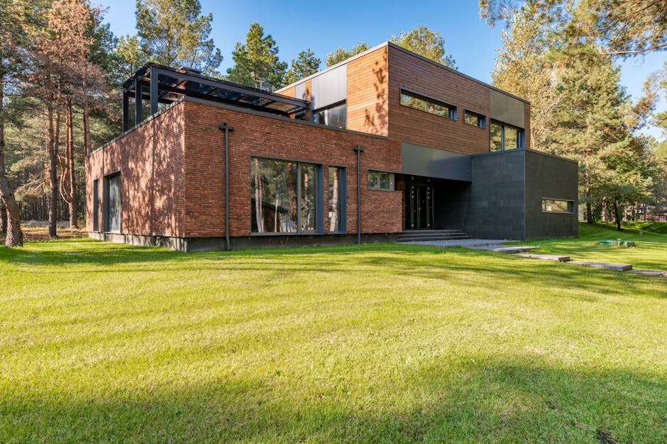 Modern home interior with beautiful large replacement windows letting in natural light